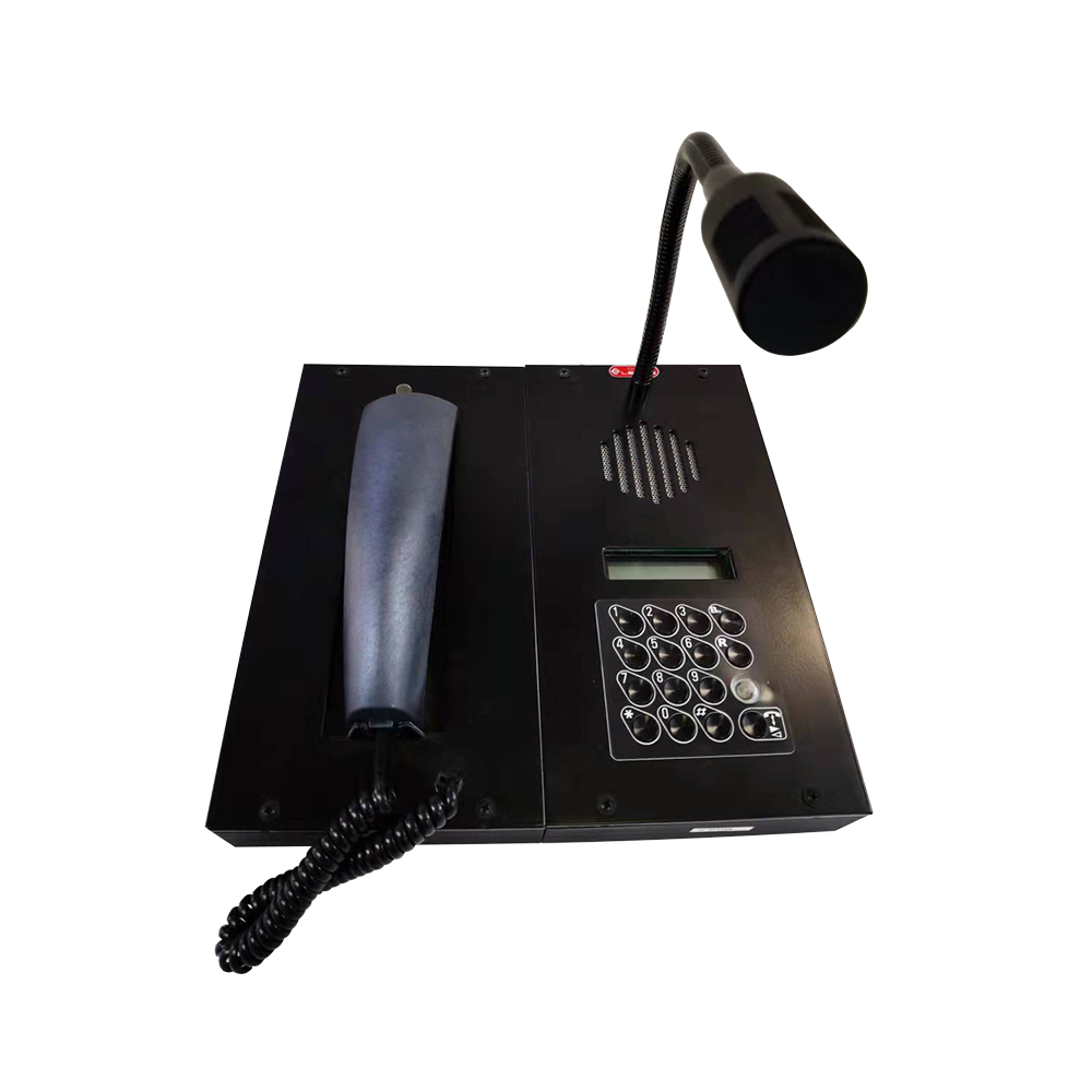 SYSTEM INTERCOM / PA&GA  IP